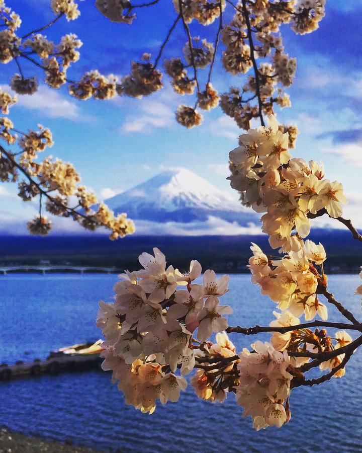 Cyokiya Lake Saiko Фуджикавагучико Екстериор снимка